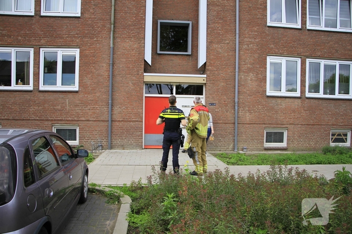 Brandweer redt zwaluwen te laat