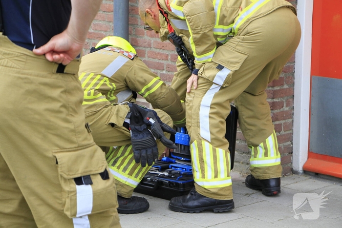 Brandweer redt zwaluwen te laat