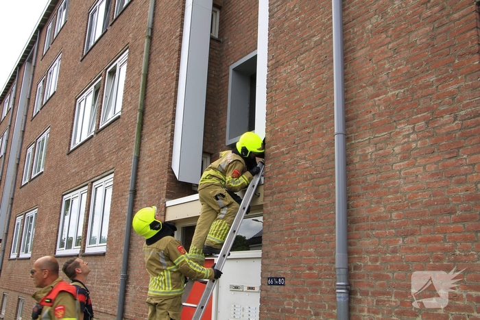 Brandweer redt zwaluwen te laat