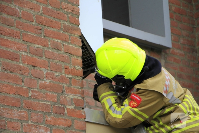 Brandweer redt zwaluwen te laat