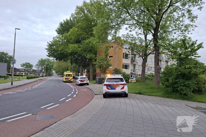 Auto ramt ondergrondse container en belandt in bosschages