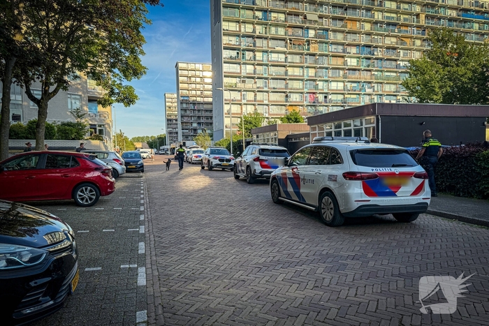 Hondengeleiders en vele agenten ingezet voor persoon met onbegrepen gedrag
