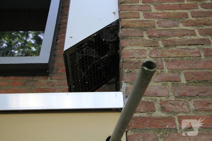 Kinderen helpen brandweer bij bevrijding van vastzittende kraai