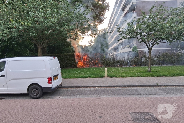 Brand in struiken snel gedoofd