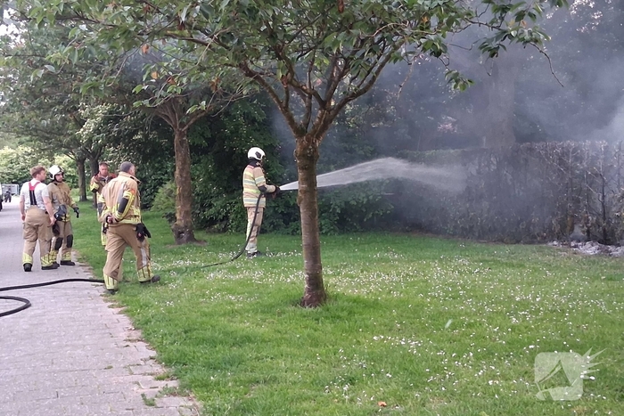 Brand in struiken snel gedoofd