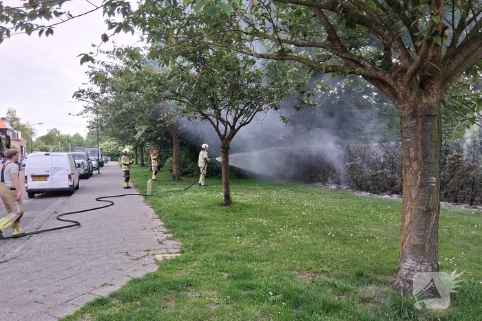 Brand in struiken snel gedoofd