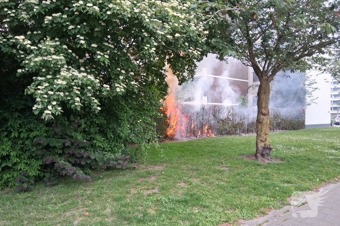 Brand in struiken snel gedoofd