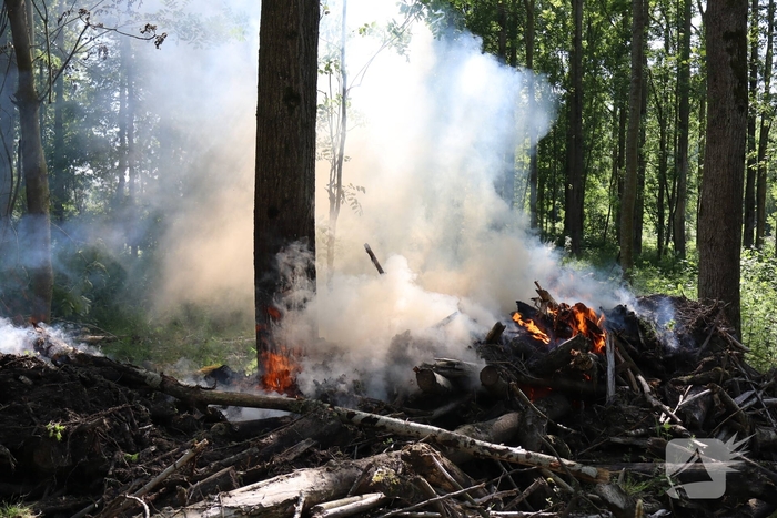 Twee branden in bosgebied geblust