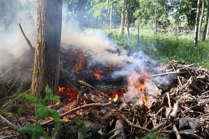 Twee branden in bosgebied geblust