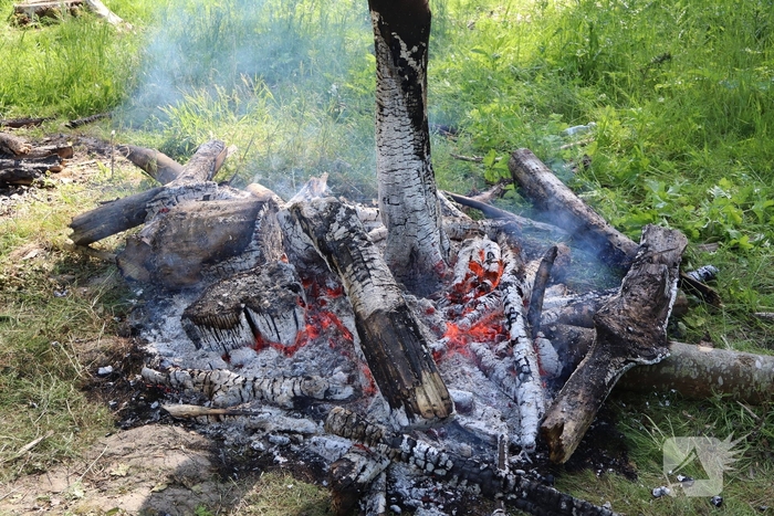 Twee branden in bosgebied geblust