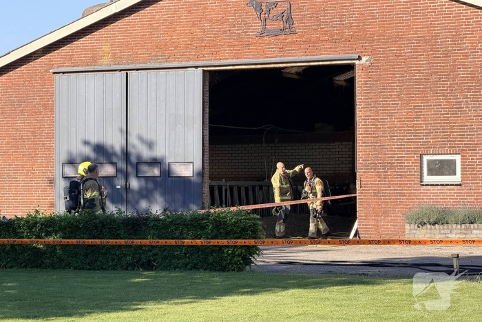 Brand in koeienstal zonder gewonden