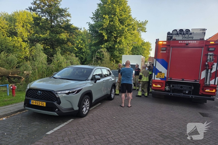 Grote tak breekt uit boom vandaan