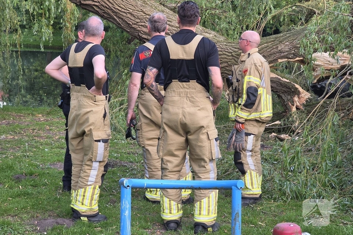 Grote tak breekt uit boom vandaan