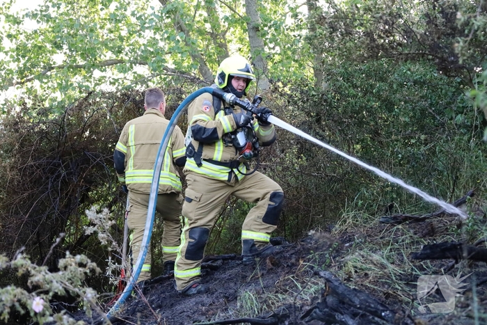 Brand in berm en struikgewas snel onder controle