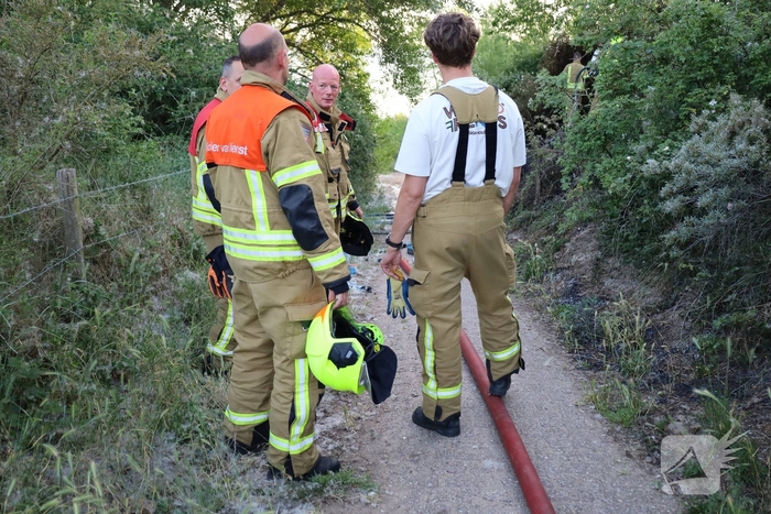 Brand in berm en struikgewas snel onder controle