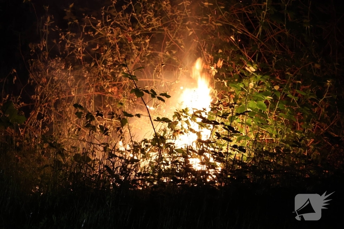 Brandweer blust brand in bosgebied