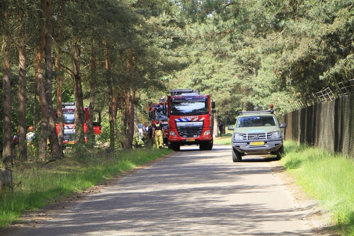Grote brand in bosgebied snel geblust