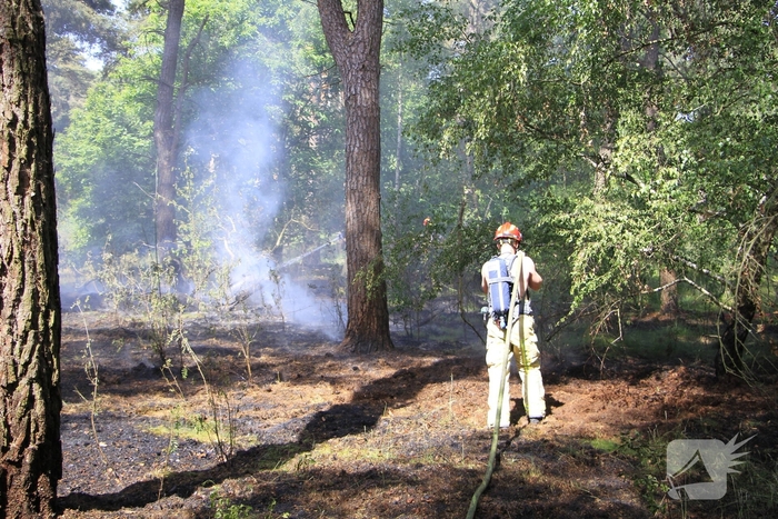 Grote brand in bosgebied snel geblust