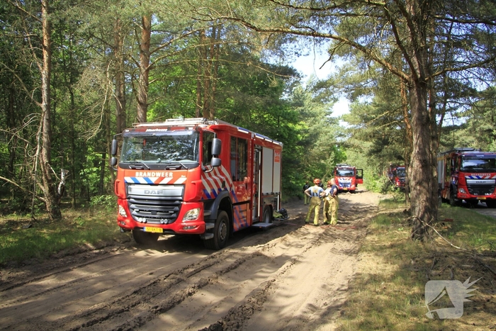 Grote brand in bosgebied snel geblust