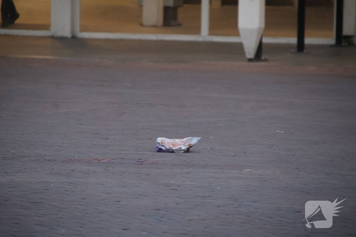 Zwaargewonde na mishandeling voor station Leiden Centraal