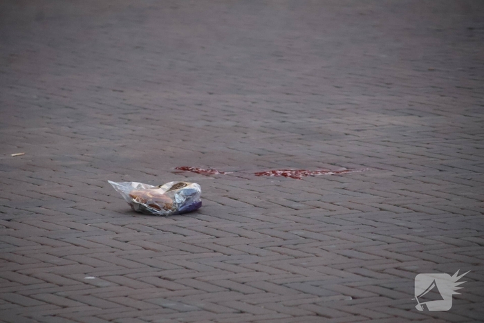 Zwaargewonde na mishandeling voor station Leiden Centraal