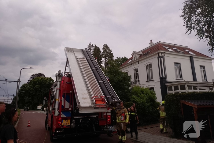 Brand in coniferen Haag veroorzaak flinke rookontwikkeling
