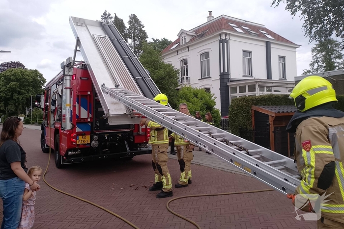 Brand in coniferen Haag veroorzaak flinke rookontwikkeling