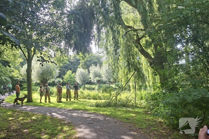 Takken breken af na natuurincident