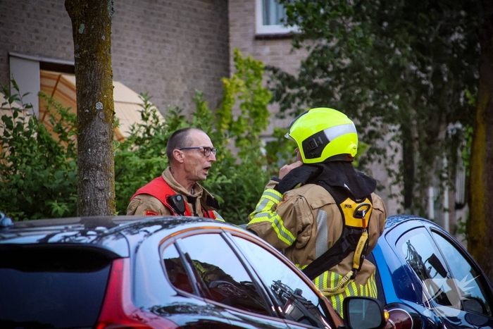 Brandweer redt kat uit boom na mislukte poging van omstander