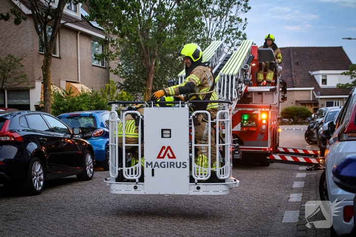 Brandweer redt kat uit boom na mislukte poging van omstander