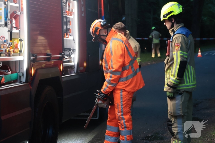 Boom valt op geparkeerde auto