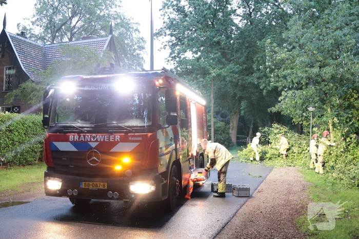 Boom valt op geparkeerde auto