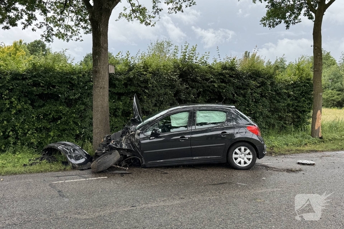 Auto total-loss na raken van bomen en bord