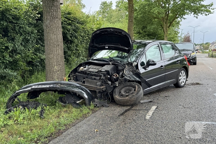 Auto total-loss na raken van bomen en bord