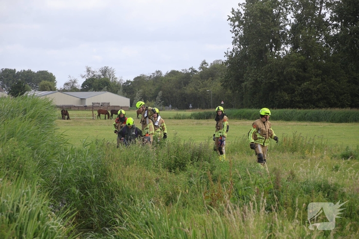 Brandweer redt paard uit water