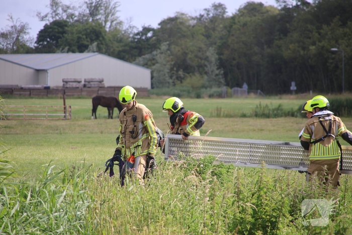 Brandweer redt paard uit water