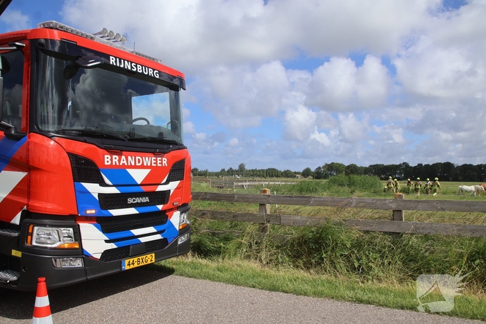 Brandweer redt paard uit water