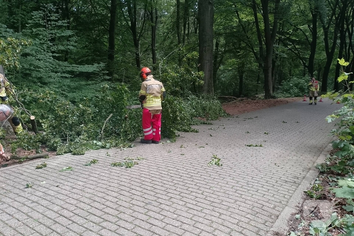 Brandweer ingeschakeld voor stormschade