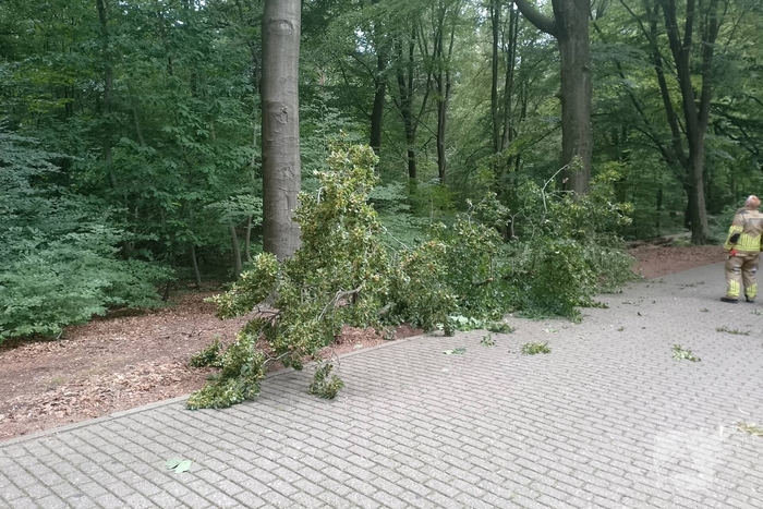 Brandweer ingeschakeld voor stormschade