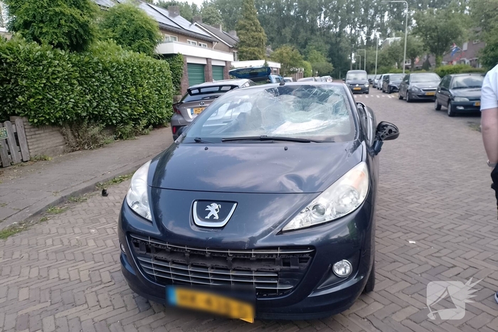 Ongeval tussen auto en speedpedelec