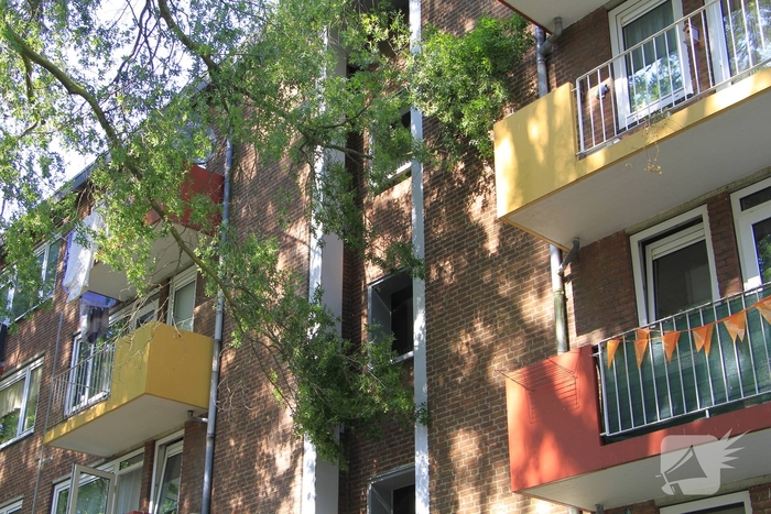 Grote tak valt op flat en veroorzaakt schade
