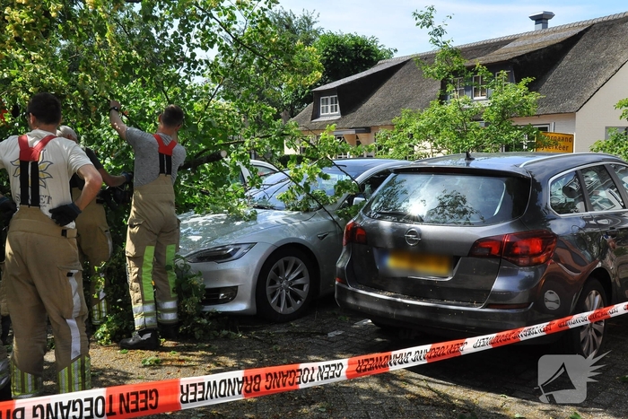 Geparkeerde personenauto's beschadigd door omgevallen boom