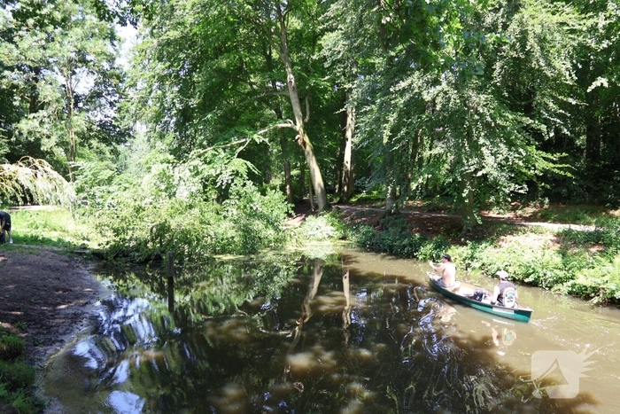 Storm richt ravage aan in park: paden geblokkeerd en gevaar door loshangende takken