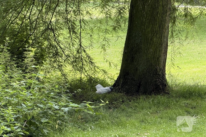EOD ingeschakeld voor meerdere Cobra's in centrum