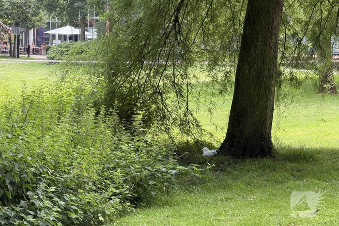 EOD ingeschakeld voor meerdere Cobra's in centrum