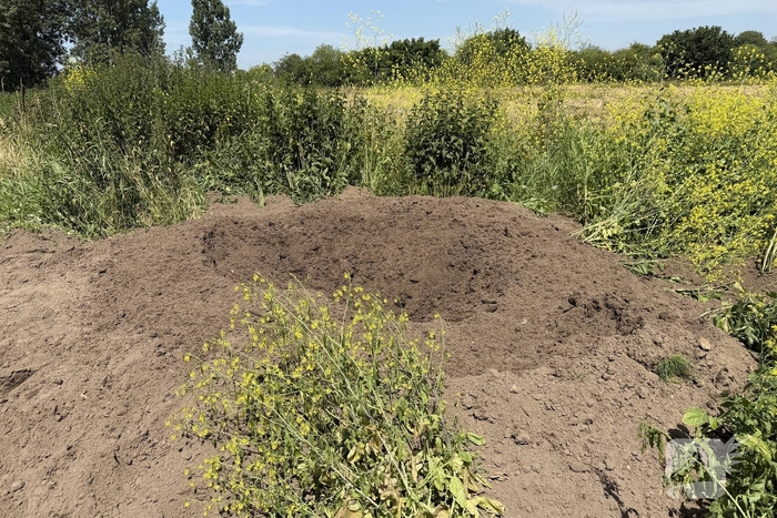 EOD ingeschakeld voor meerdere Cobra's in centrum
