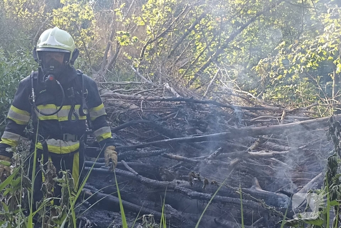Brandweer ingezet voor brandende takken