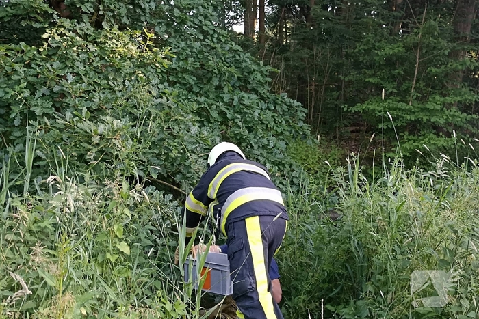 Brandweer ingezet voor brandende takken