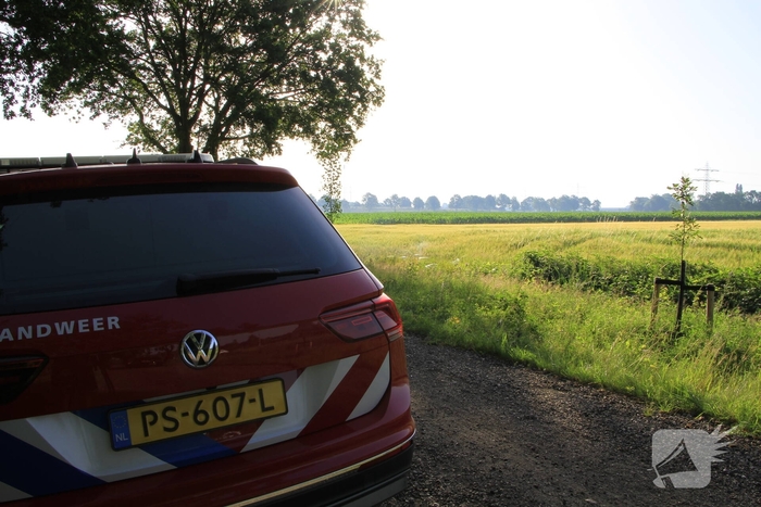 Dampende vaatjes gedumpt langs de weg