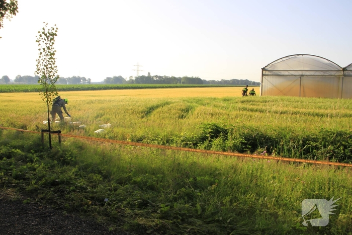 Dampende vaatjes gedumpt langs de weg
